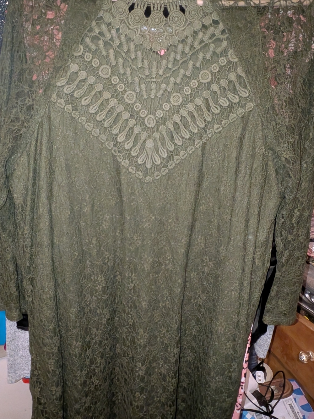 Vanity Olive Lace Long Sleeve Dress with Crochet Yoke